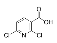 2,6-二<em>氯</em>吡啶-3-羧酸，98%